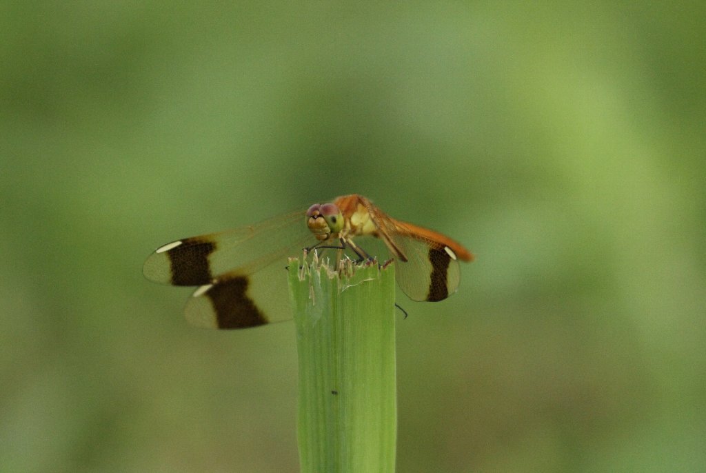 �~���}�A�J�l