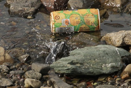 �V�W���E�J���̍s��