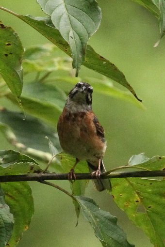 �e�z�I�W��