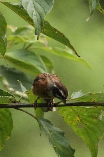 �e�z�I�W��