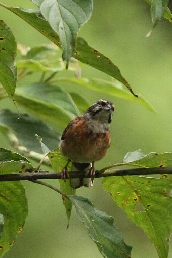 �e�z�I�W��