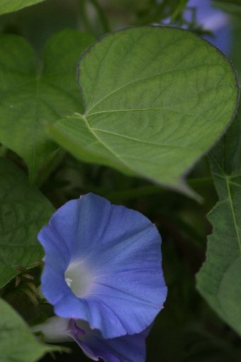 �}���o�A�T�K�I