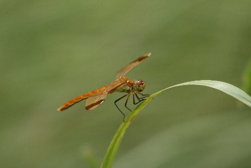 �~���}�A�J�l