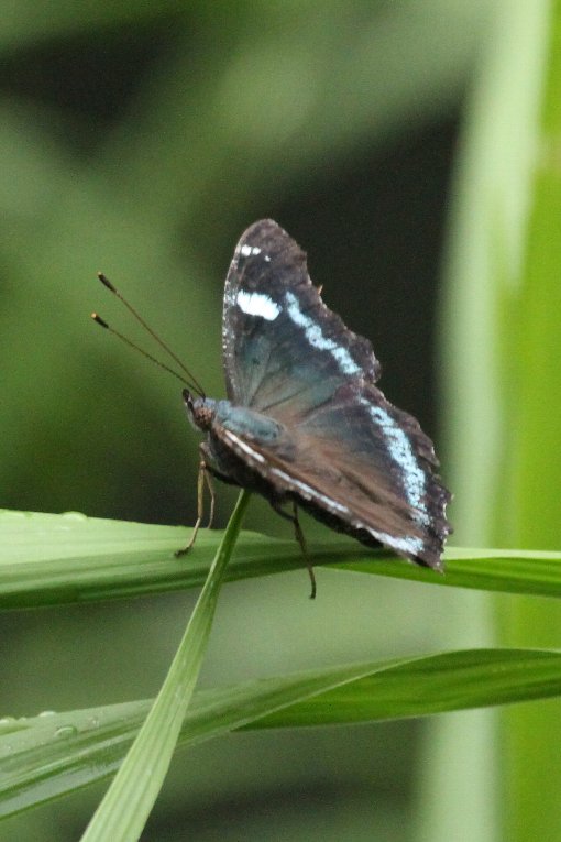 �����^�e�n