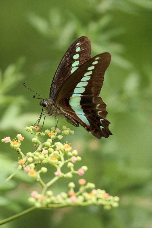 �A�I�X�W�A�Q�n