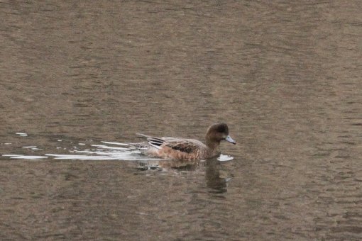 �q�h���K��