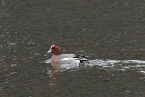 �q�h���K��