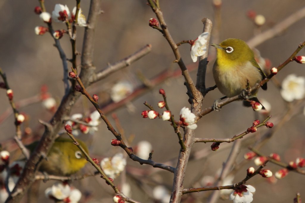 �~�Ƀ��W��