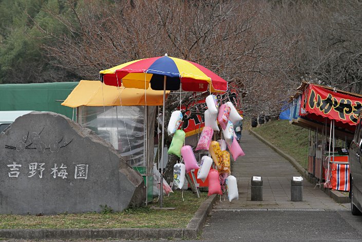 �g��~������