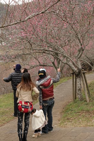 �g��~�������܂��Ȃ�