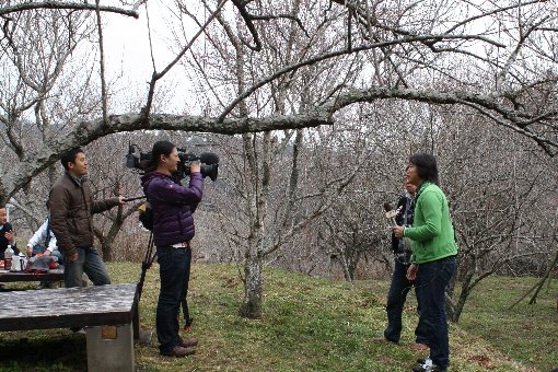 ���ڂ��^�C��