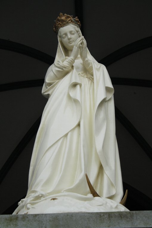 ���{�V���ꑜ