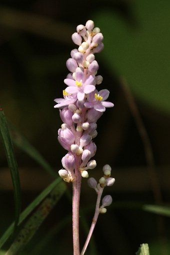 ���u����