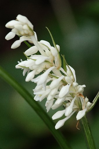 �m�V����