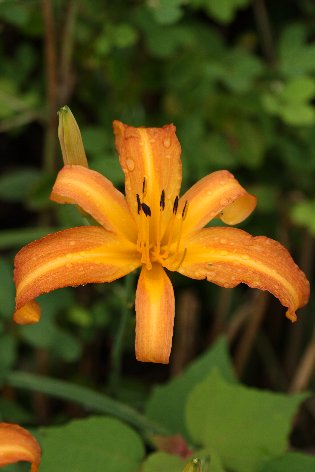 �n�}�J���]�E