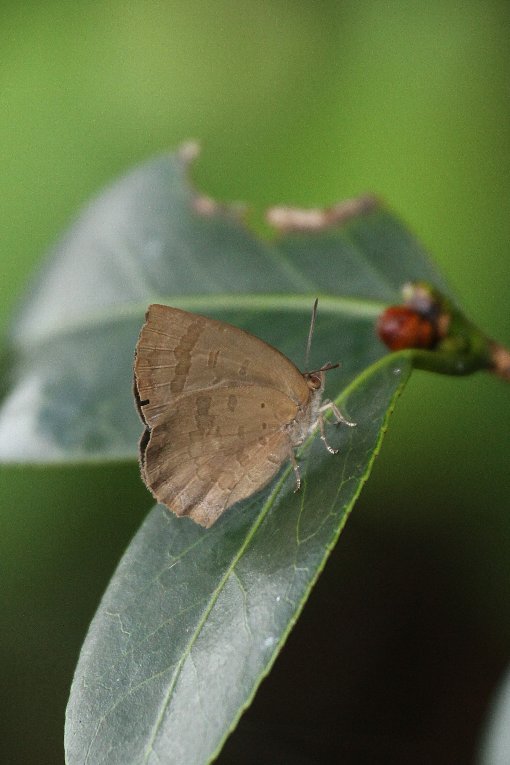 �����T�L�V�W�~