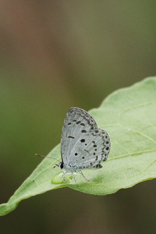 �����V�W�~