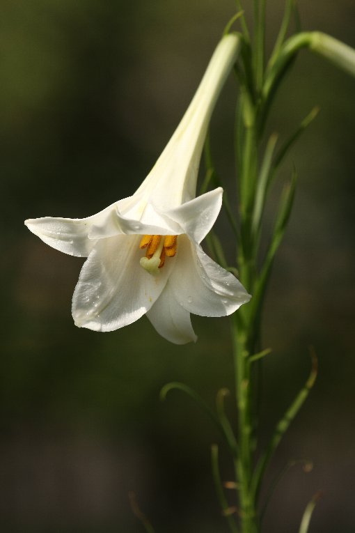 �e�b�|�E����