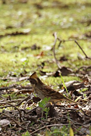 �~���}�z�I�W��