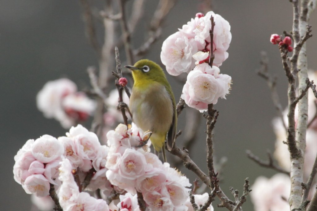 �~�Ƀ��W��