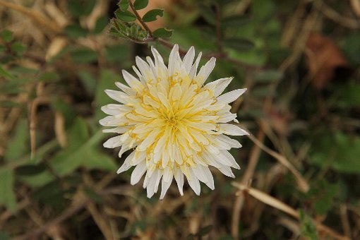 ���ԃ^���|�|