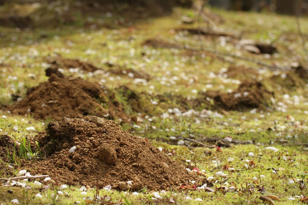 ���O����