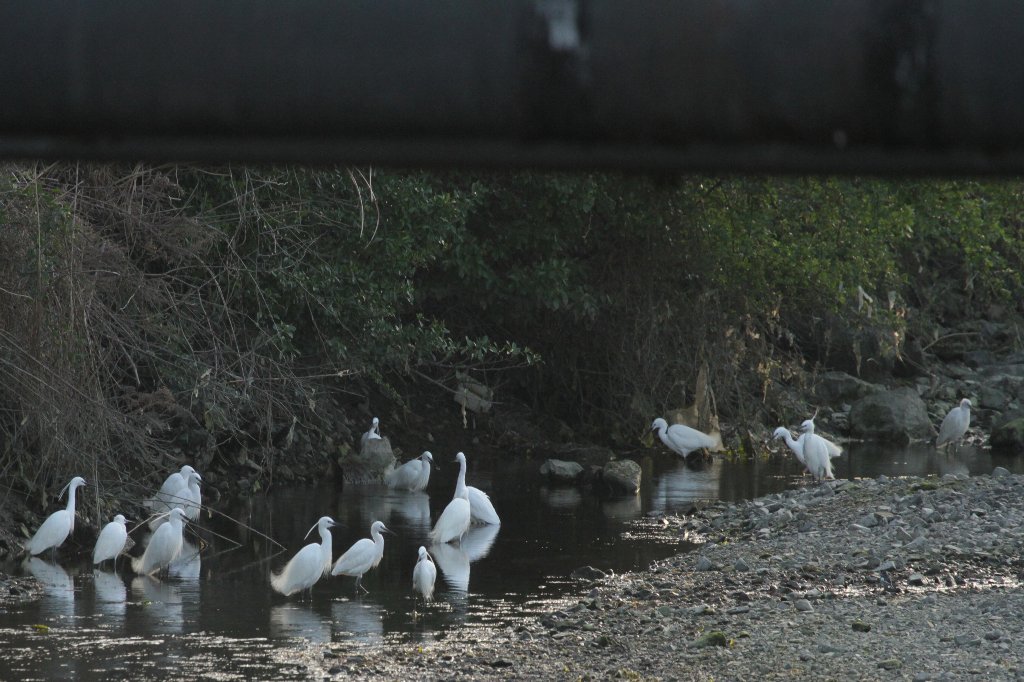 ����B�̔ӎ`