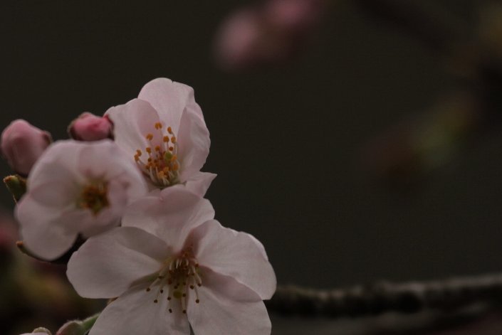 �҂��ɂɑ҂���