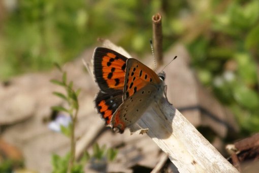 �x�j�V�W�~