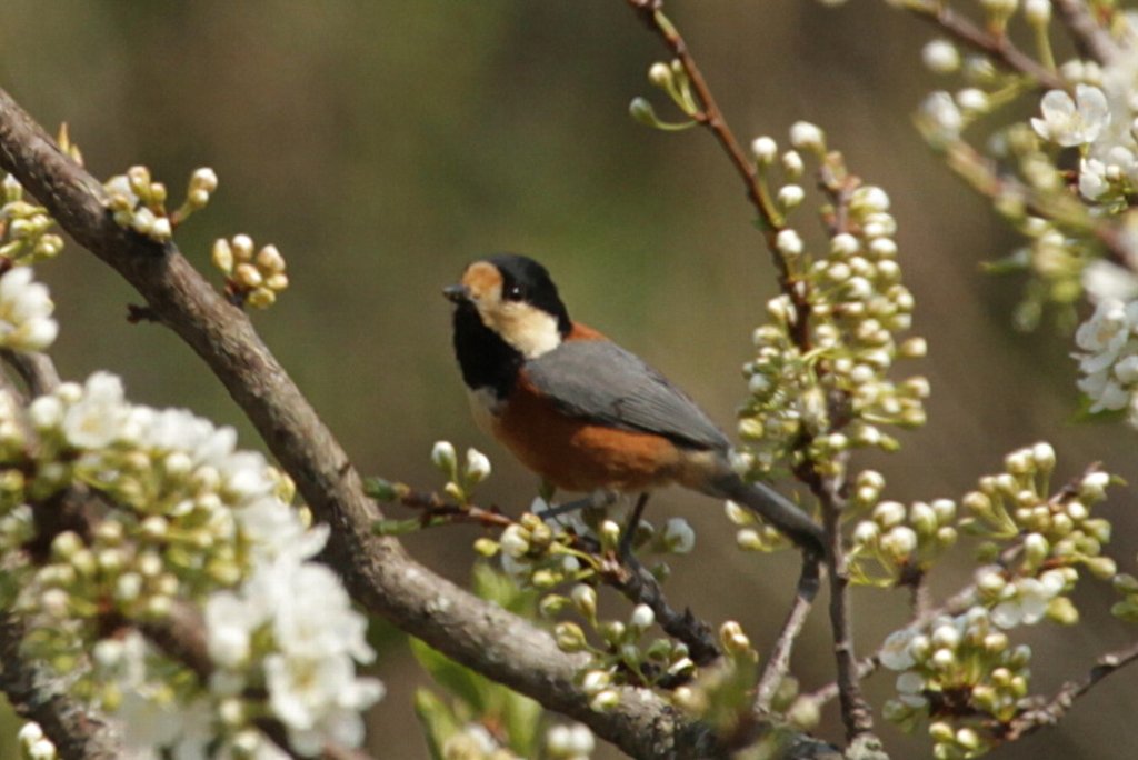 ���}�K��