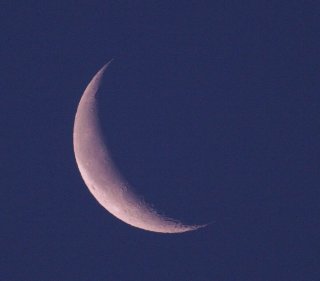 �����𗁂т���