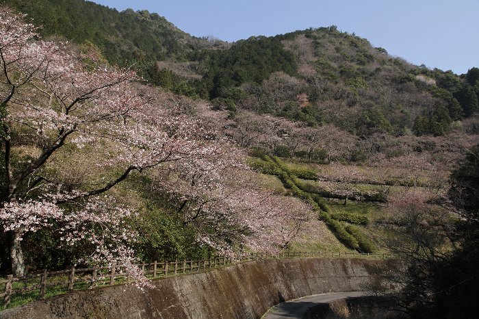 �]�_���̍�