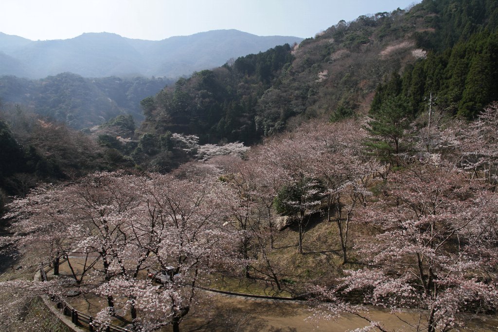 �]�_���̍�