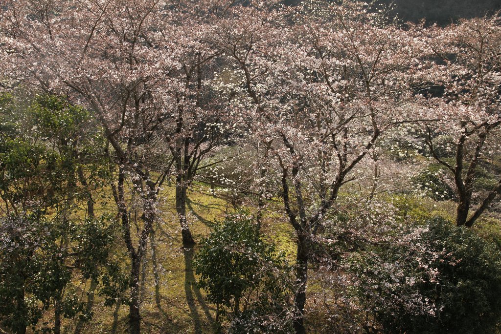 �]�_���̍�