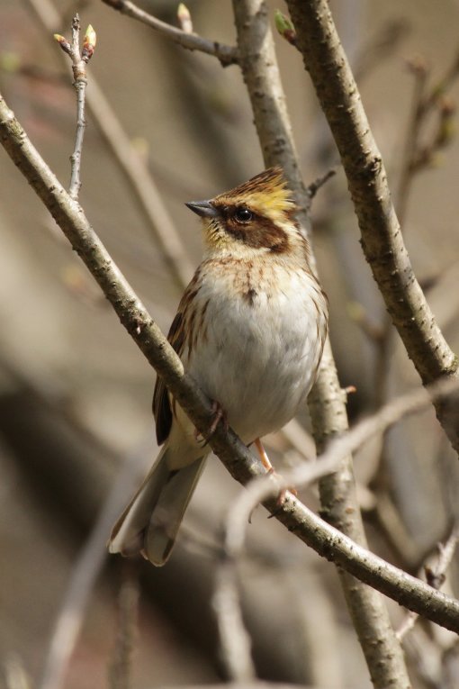 �~���}�z�I�W��