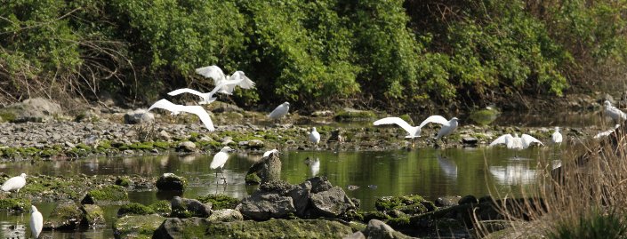 ����̃R���`�F���g