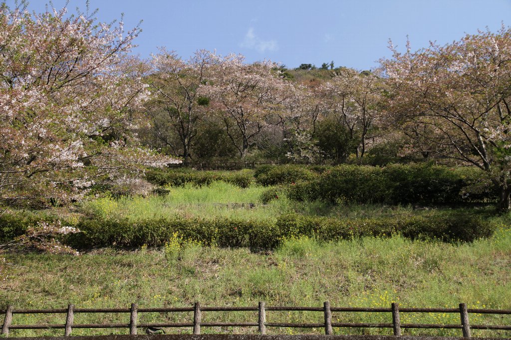 �]�_���̍��E�؂̉�