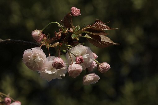 ���̃{�^����