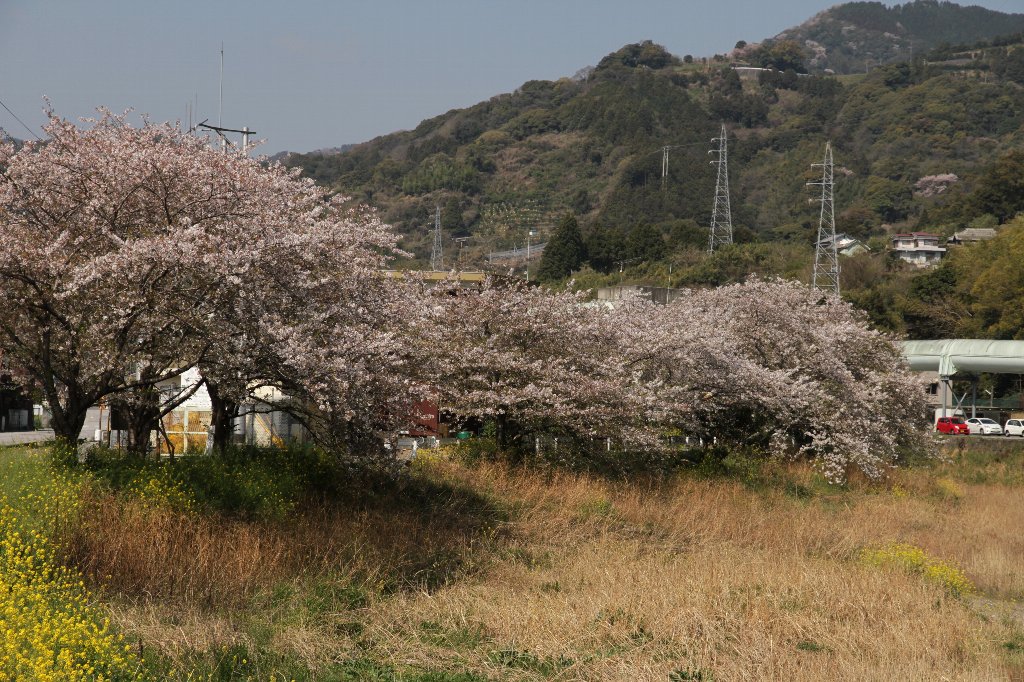 �S�ۂ̐���g��