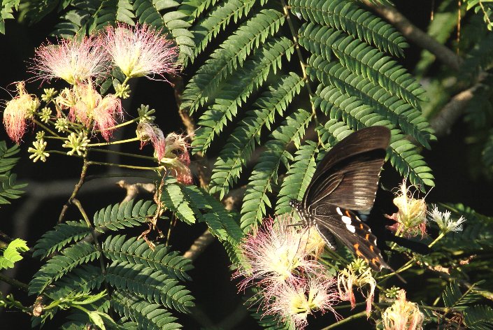 �����L�A�Q�n