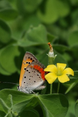 �x�j�V�W�~