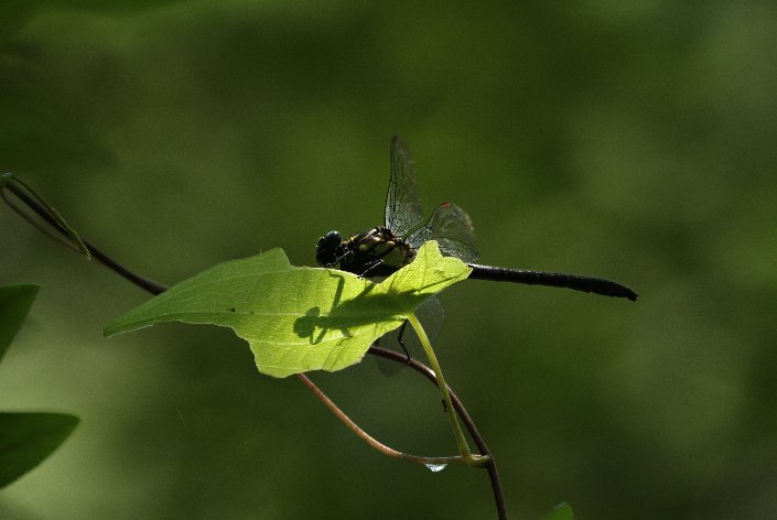 ���}�T�i�G