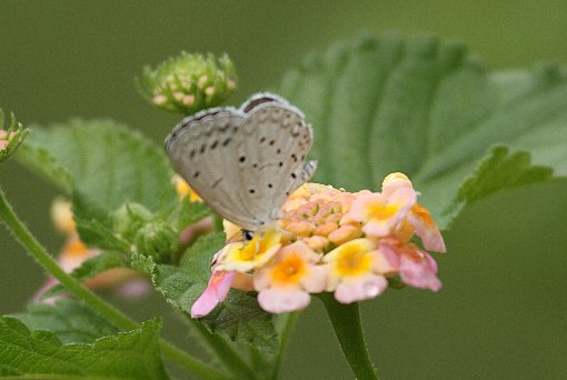 ���}�g�V�W�~