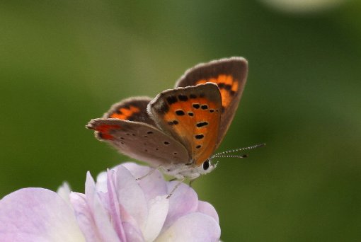 �x�j�V�W�~