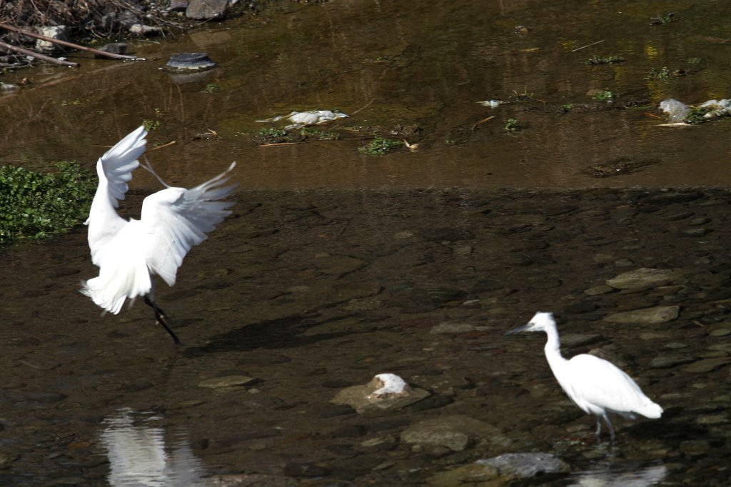 �����t����