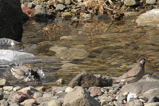 ���N�h��