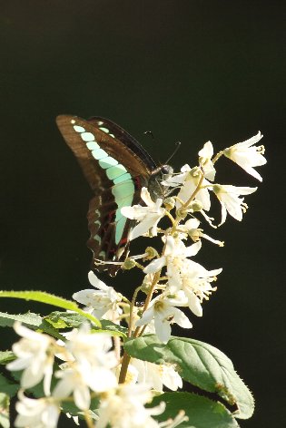 �A�I�X�W�A�Q�n