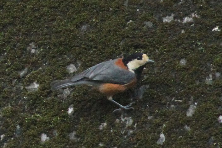 ���}�K��