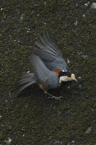 ���}�K��