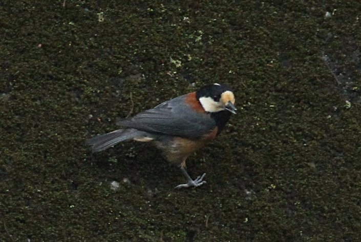 ���}�K��